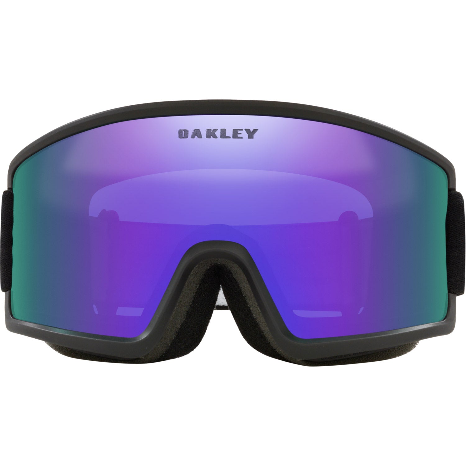 Target Line M Snow Goggle