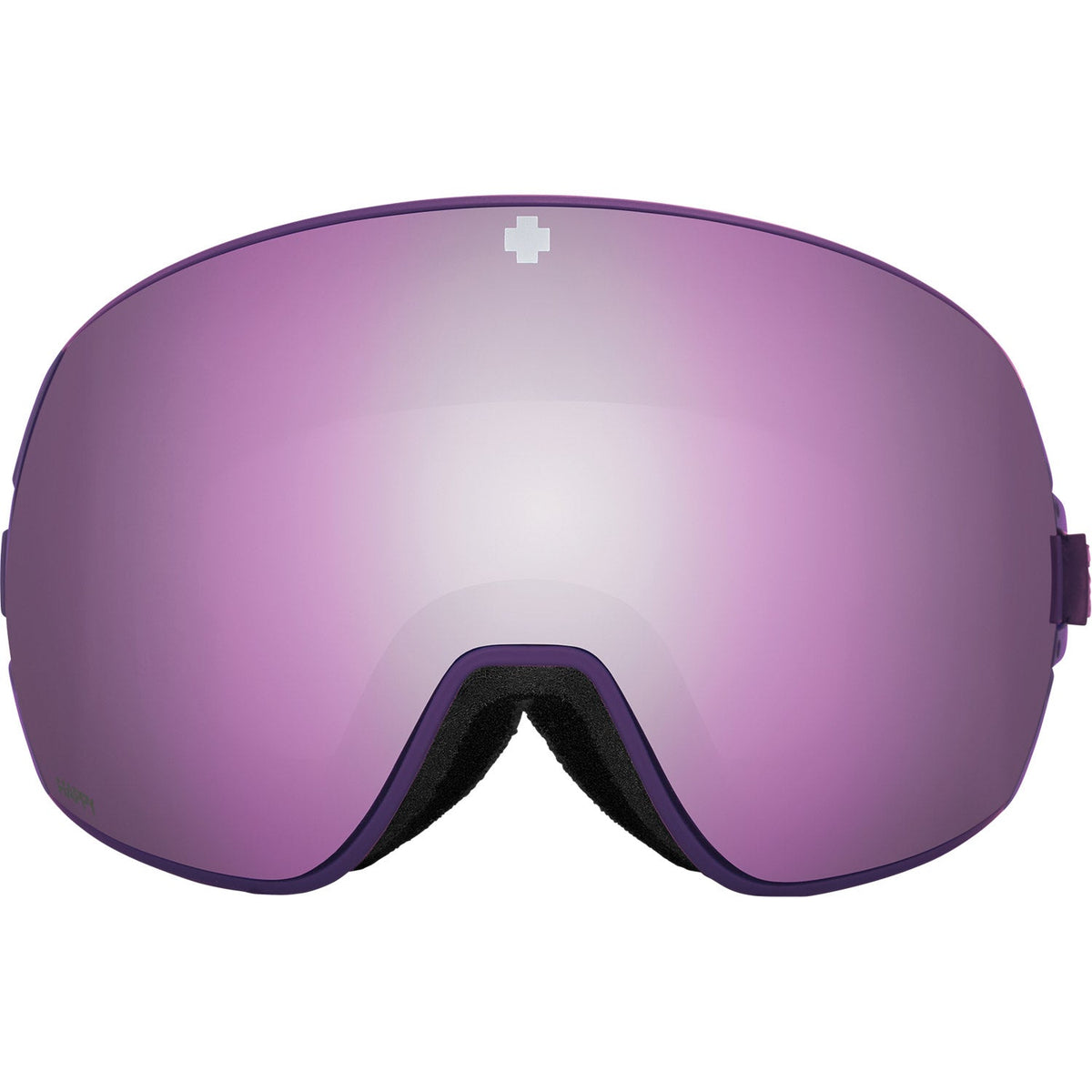 Legacy SE Snow Goggle