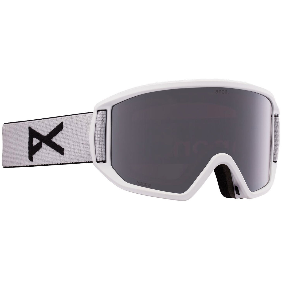 Relapse Snow Goggle