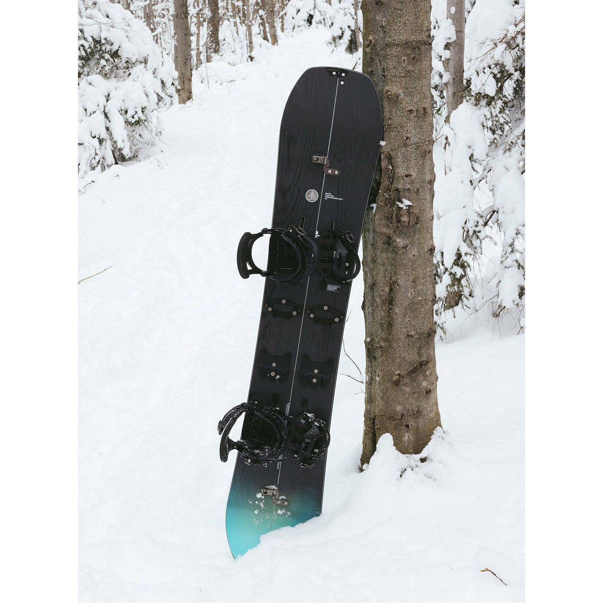 Family Tree Hometown Hero X Camber Splitboard 2022