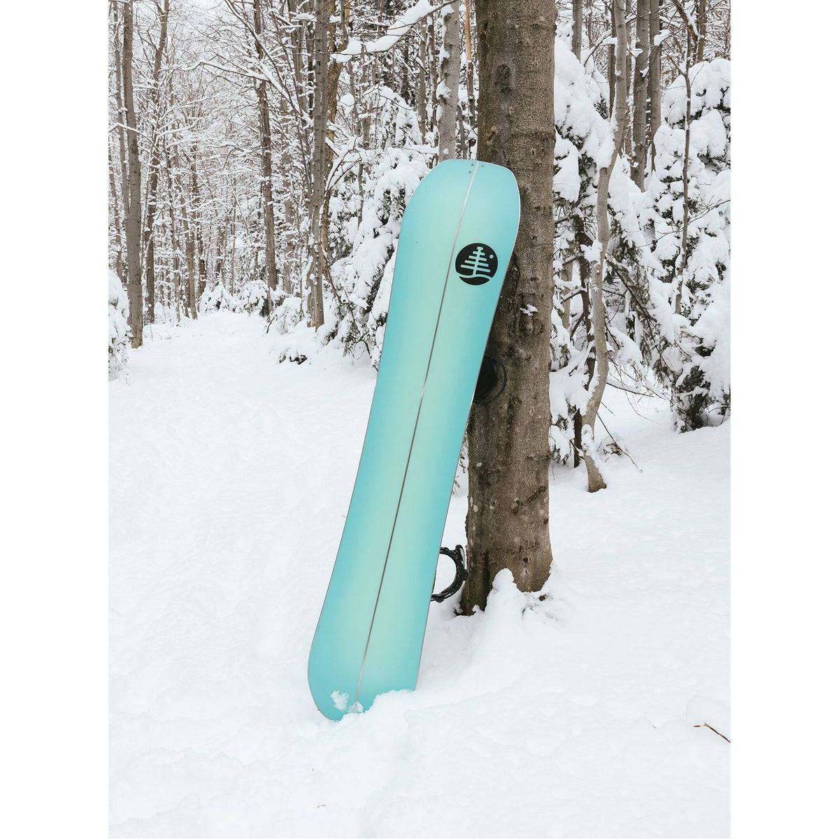 Family Tree Hometown Hero X Camber Splitboard 2022