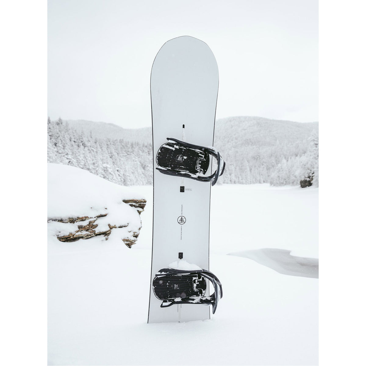 Family Tree 3D Daily Driver Camber Snowboard 2023