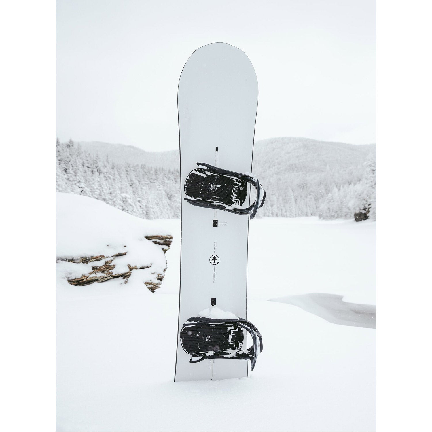 Family Tree 3D Daily Driver Camber Snowboard 2023