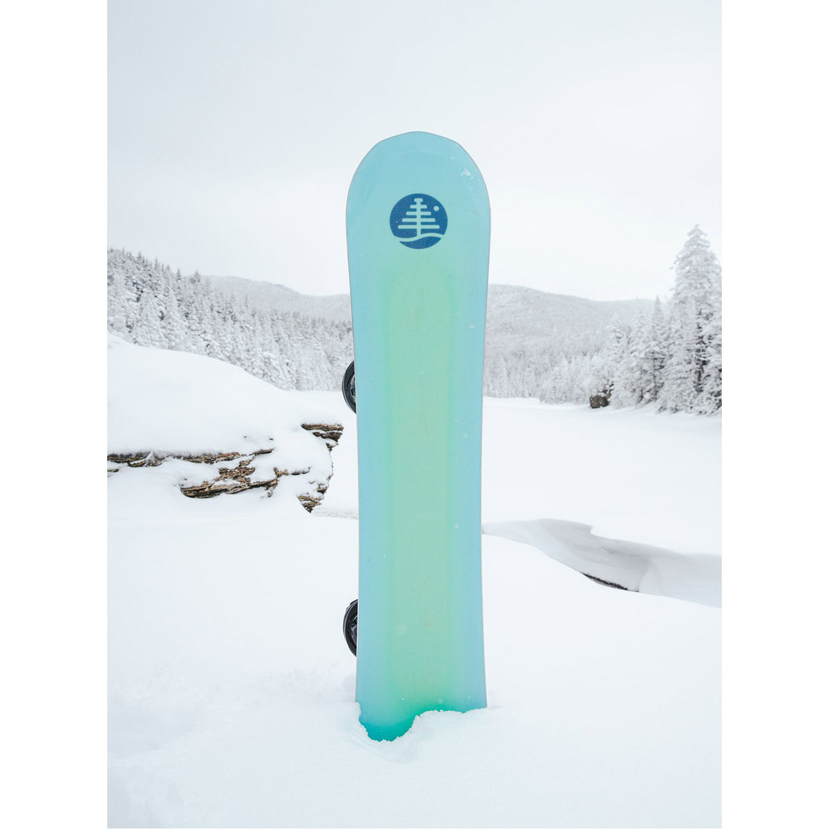 Family Tree 3D Daily Driver Camber Snowboard 2023