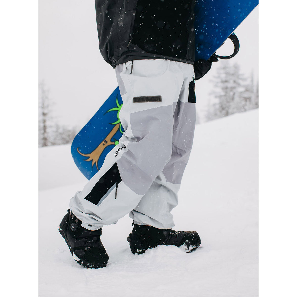 Carbonate Gore-Tex Snowboard Pants