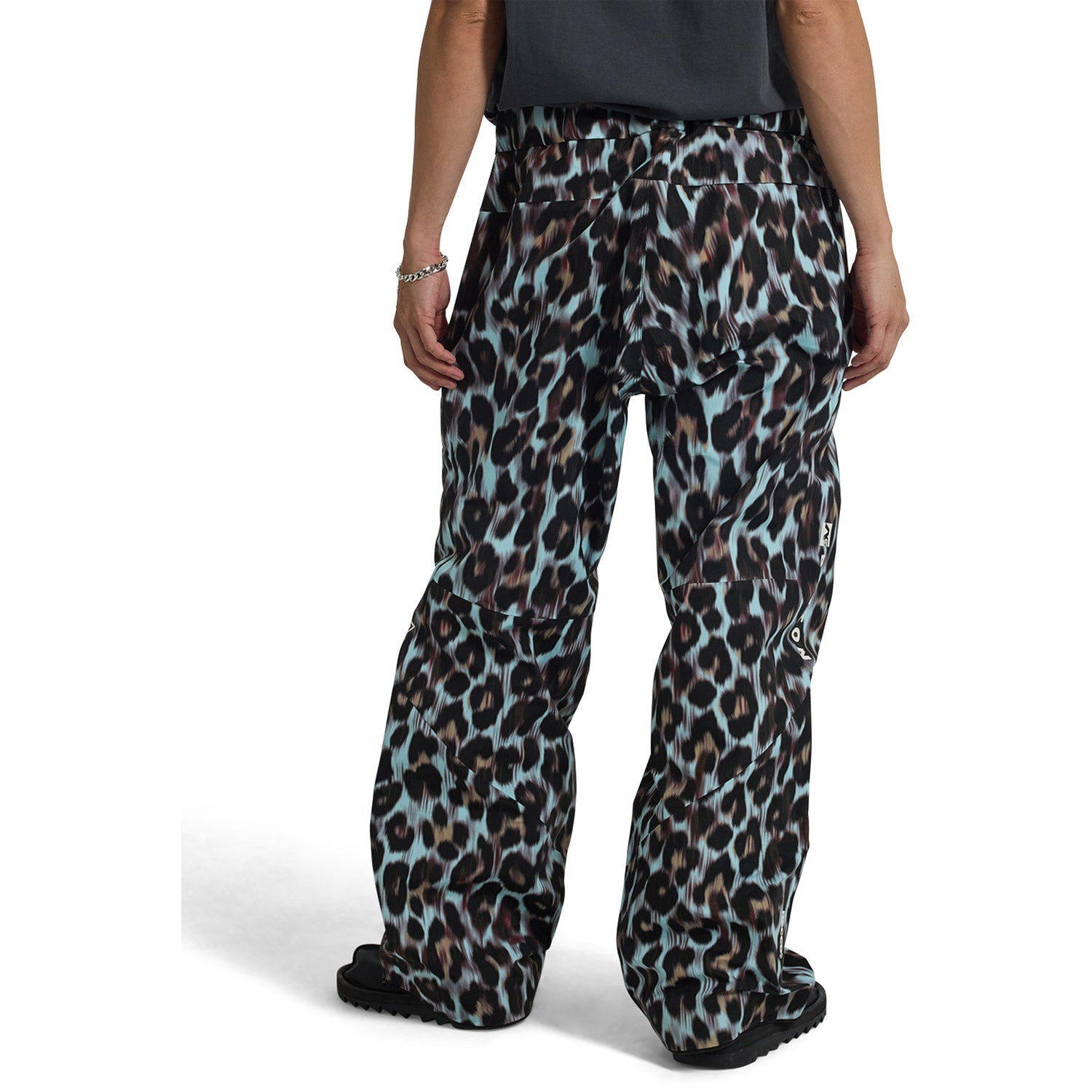 Hardpack GORE-TEX 3L Pants