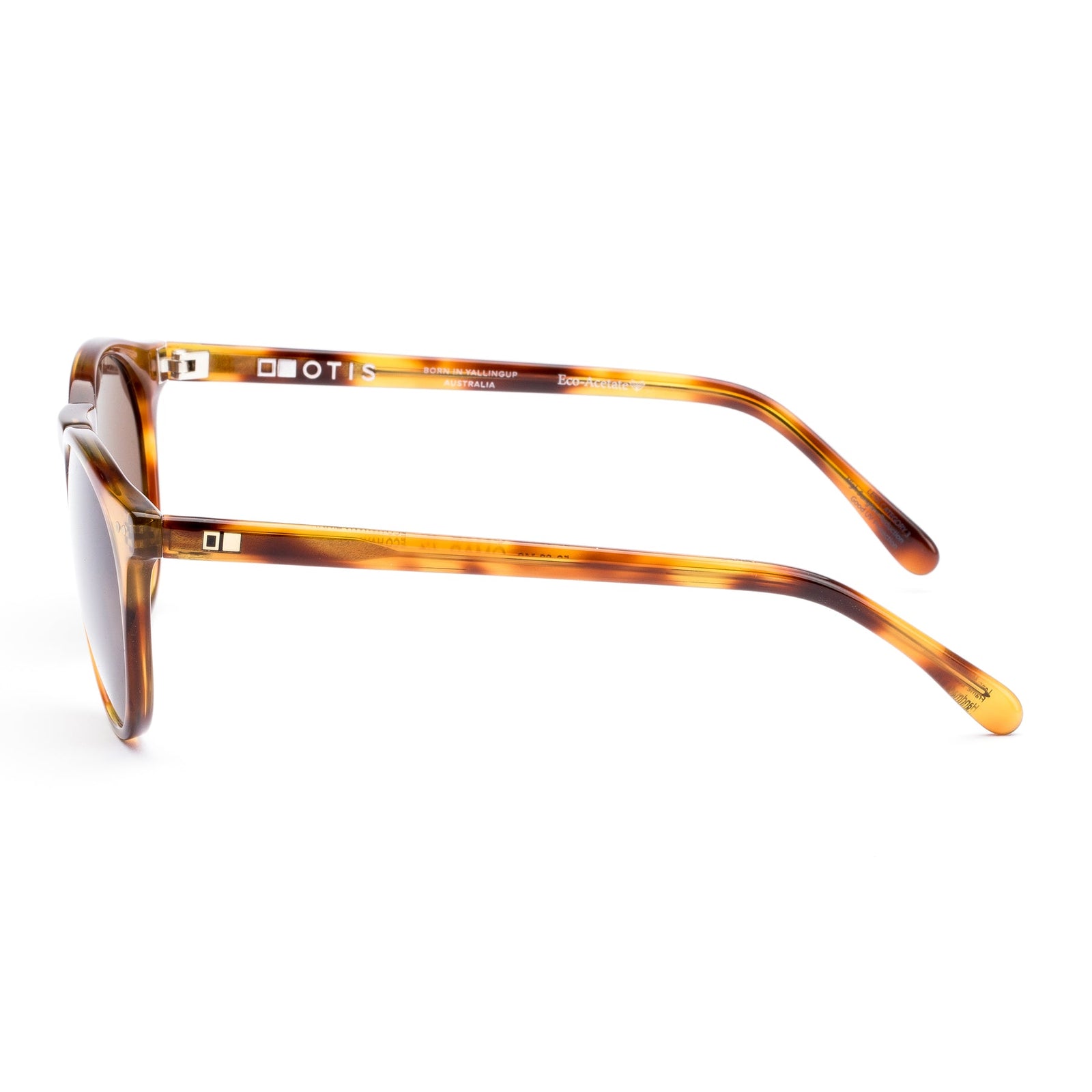 Omar - Eco Havana Zinnia / LIT Polar Brown