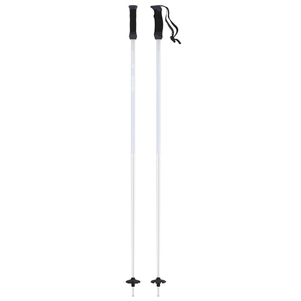 AMT Ski Pole