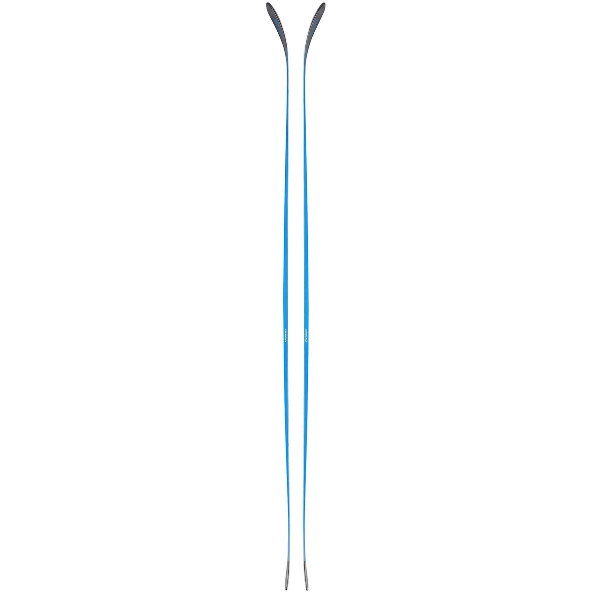 Anomoly 84 Skis