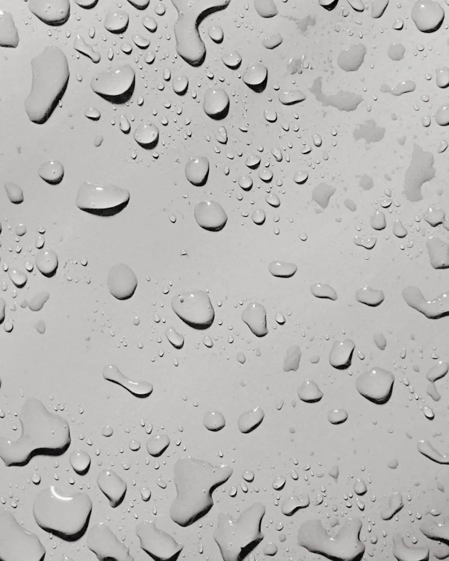 Life Board Travel Bag