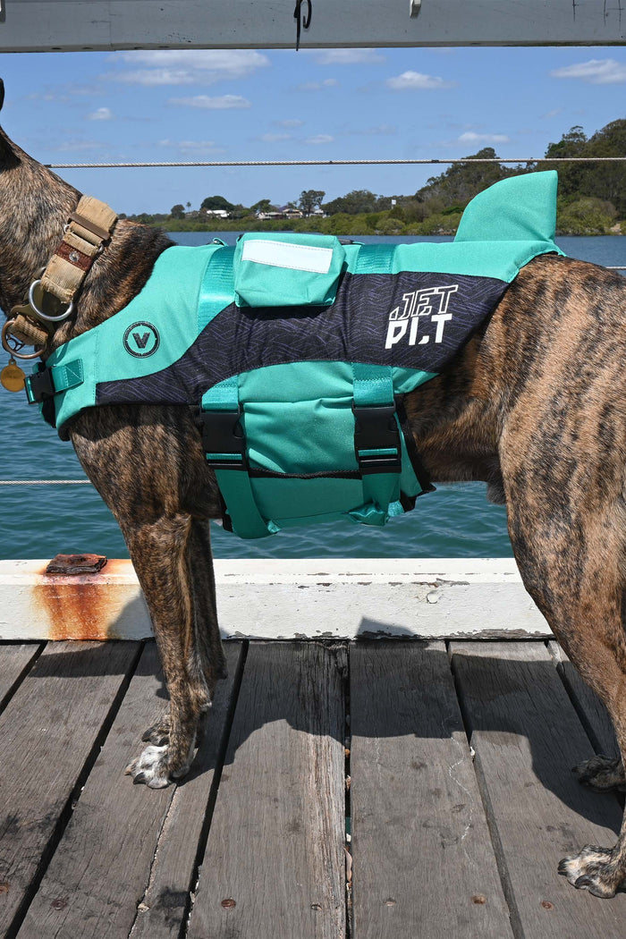 Venture Dog Pfd Life Jacket