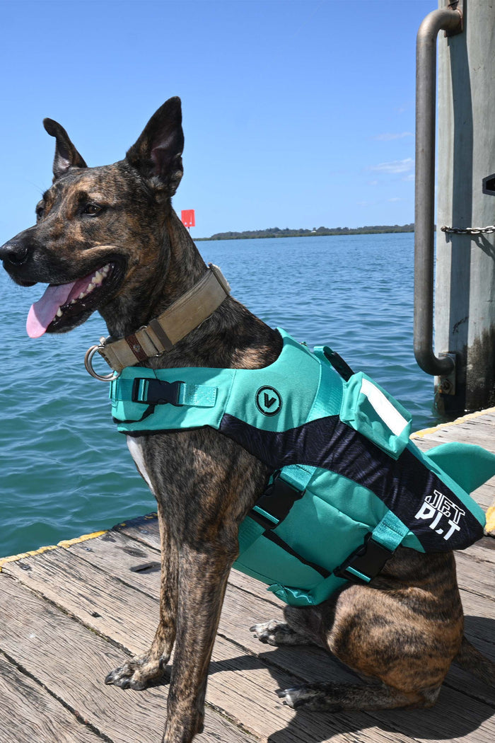 Venture Dog Pfd Life Jacket