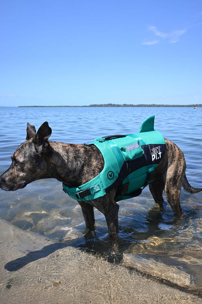 Venture Dog Pfd Life Jacket