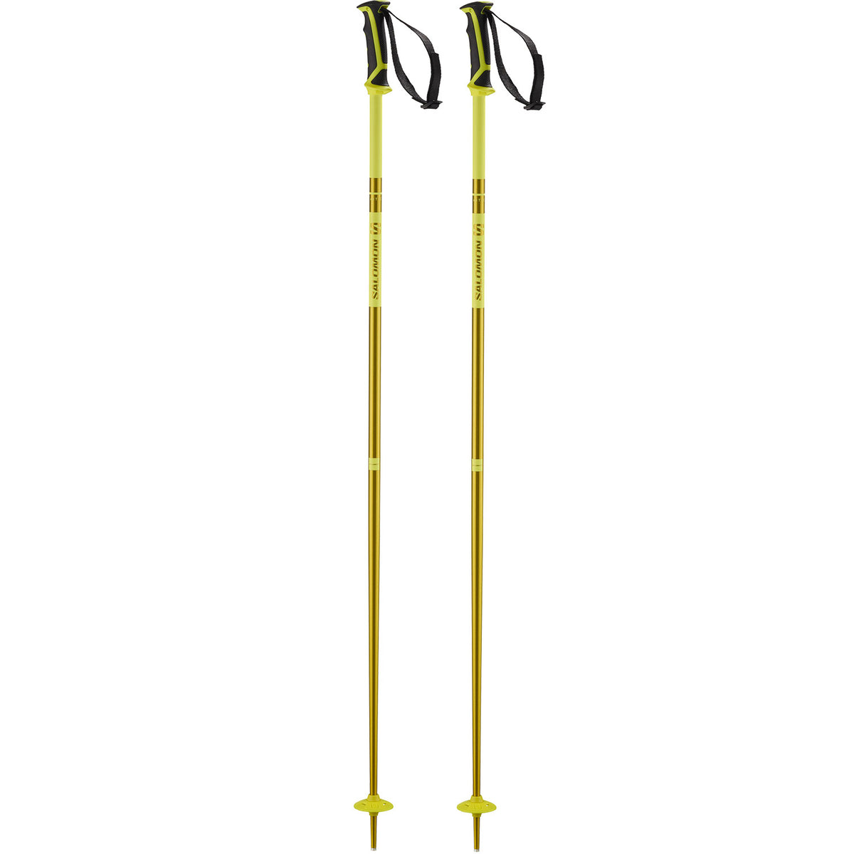 Arctic Ski Poles