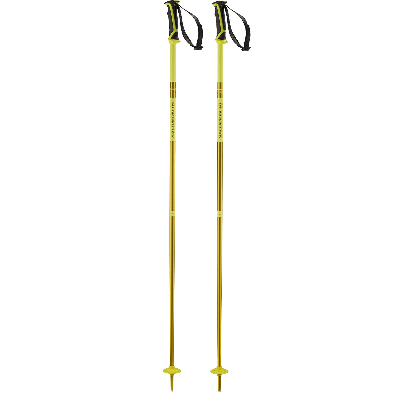 Arctic Ski Poles