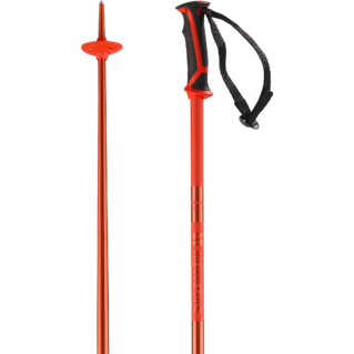 Arctic Ski Pole