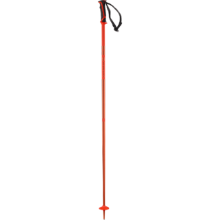 Arctic Ski Pole