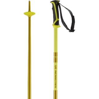 Arctic Ski Pole