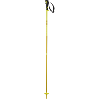 Arctic Ski Pole