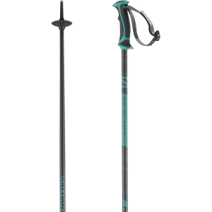 Salomon arctic 2024 lady ski pole