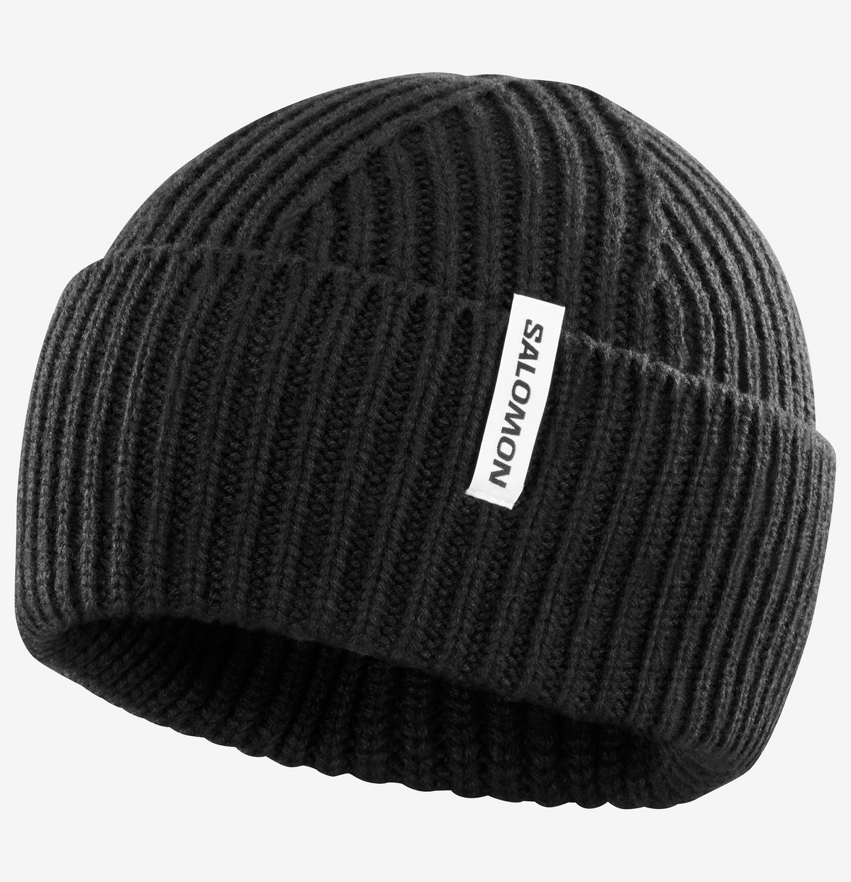 Snowbird Beanie