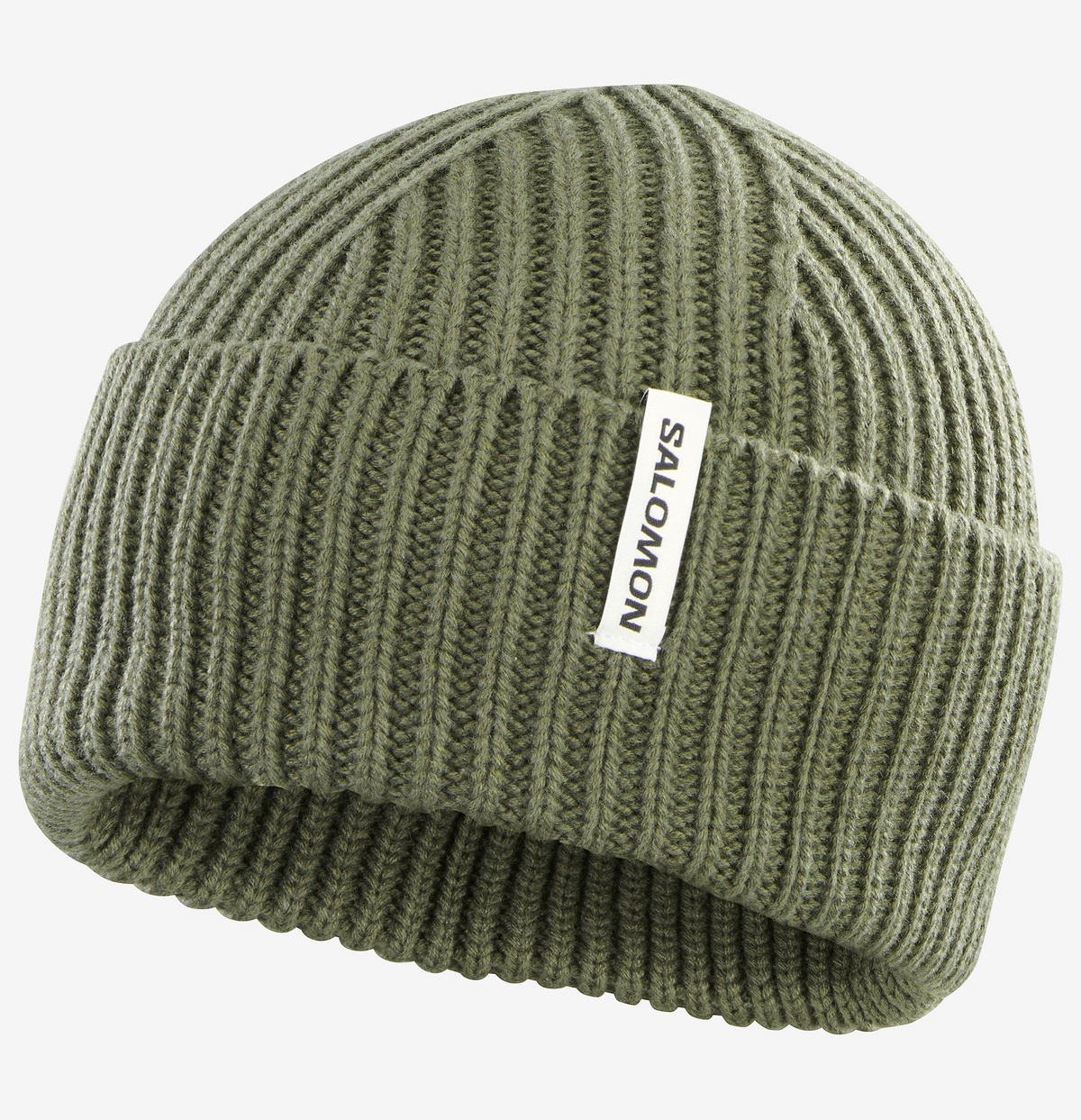 Snowbird Beanie