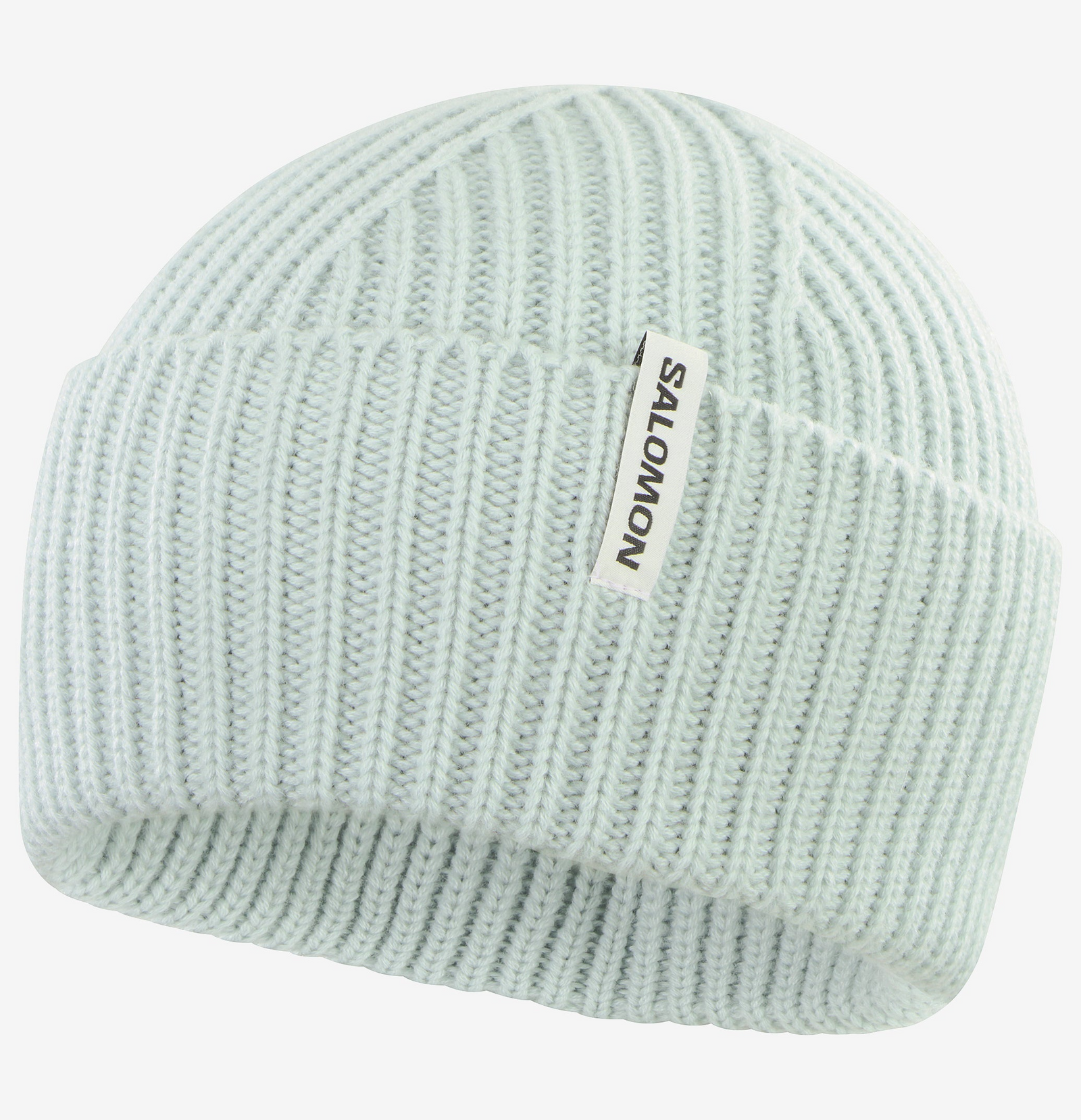 Snowbird Beanie