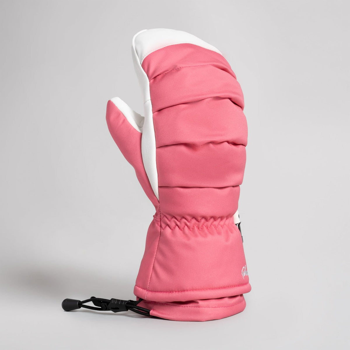 Ladown Ski Mitts