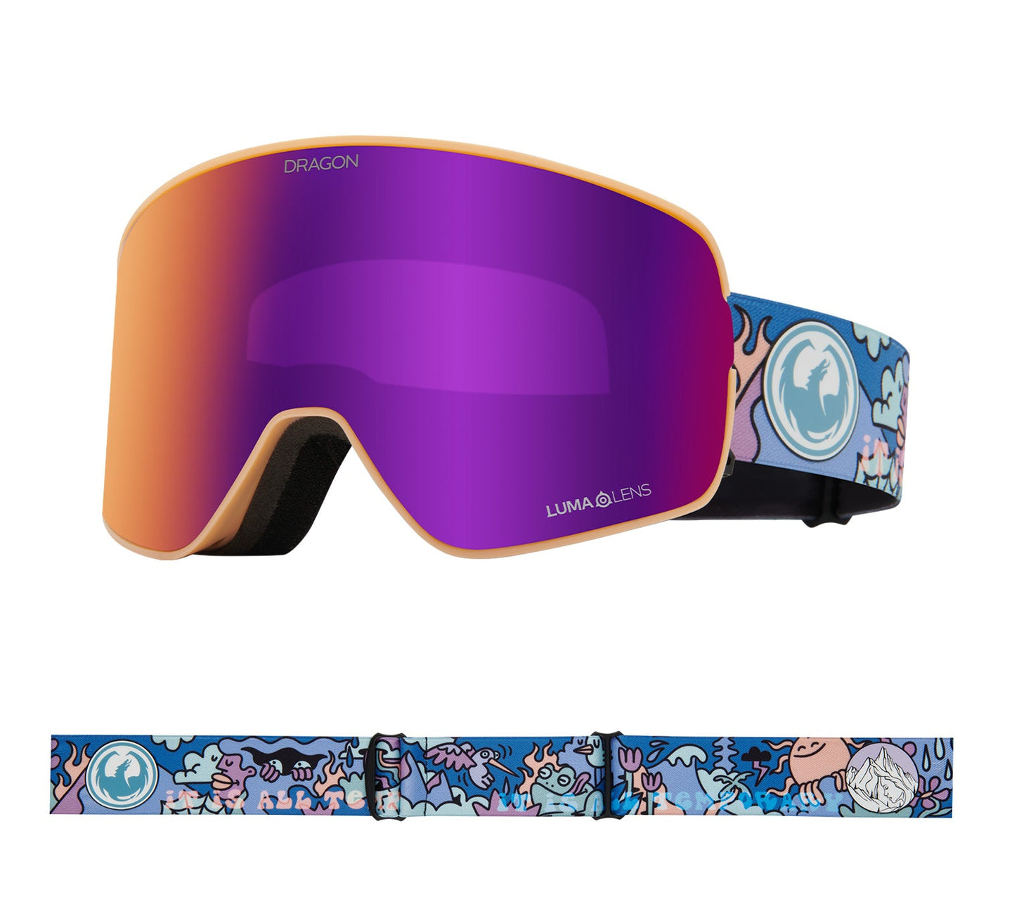 NFX2 LB Snow Goggle