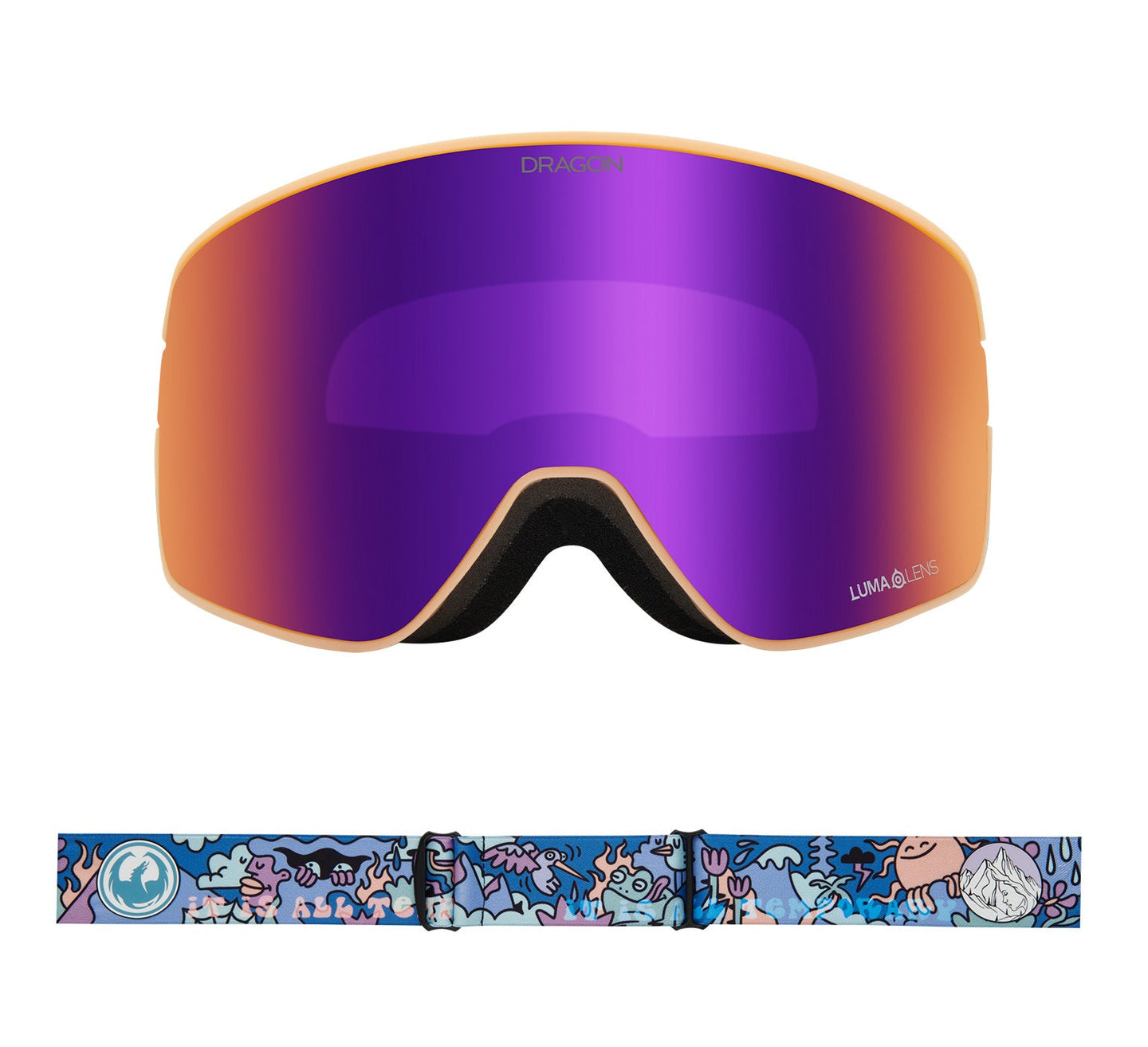 NFX2 Snow Goggle