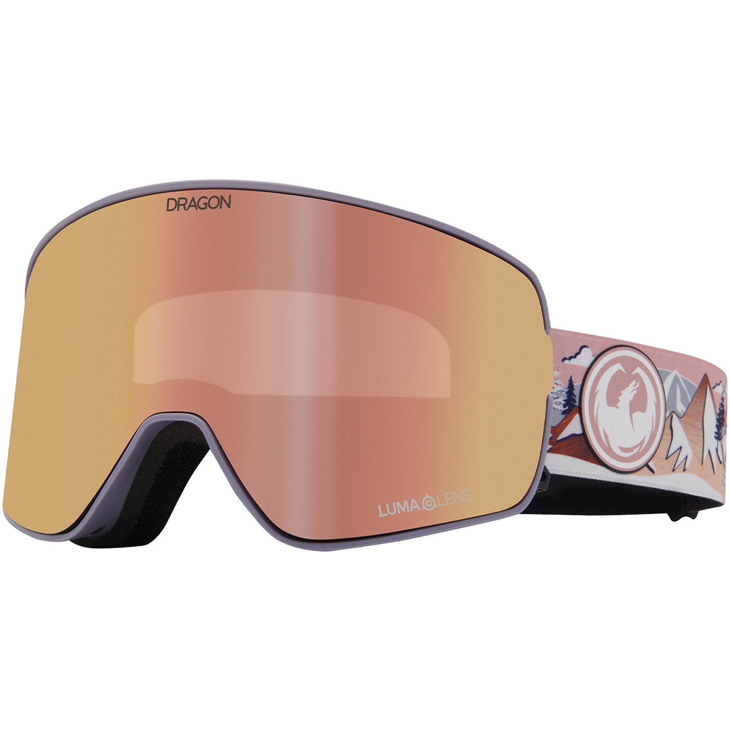 NFX2 Snow Goggle