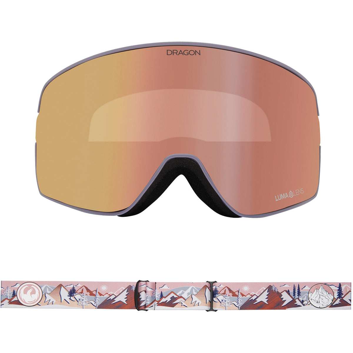 NFX2 Snow Goggle
