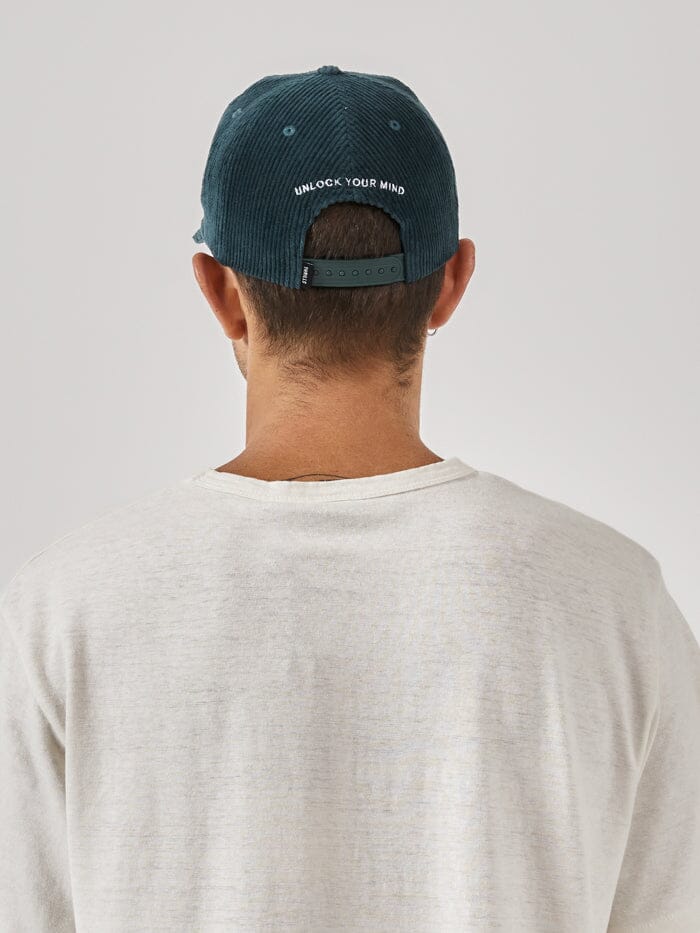 Try It You'Ll Like It 5 Panel Cap