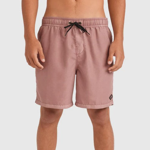 All Day Overdye Layback Boardshorts