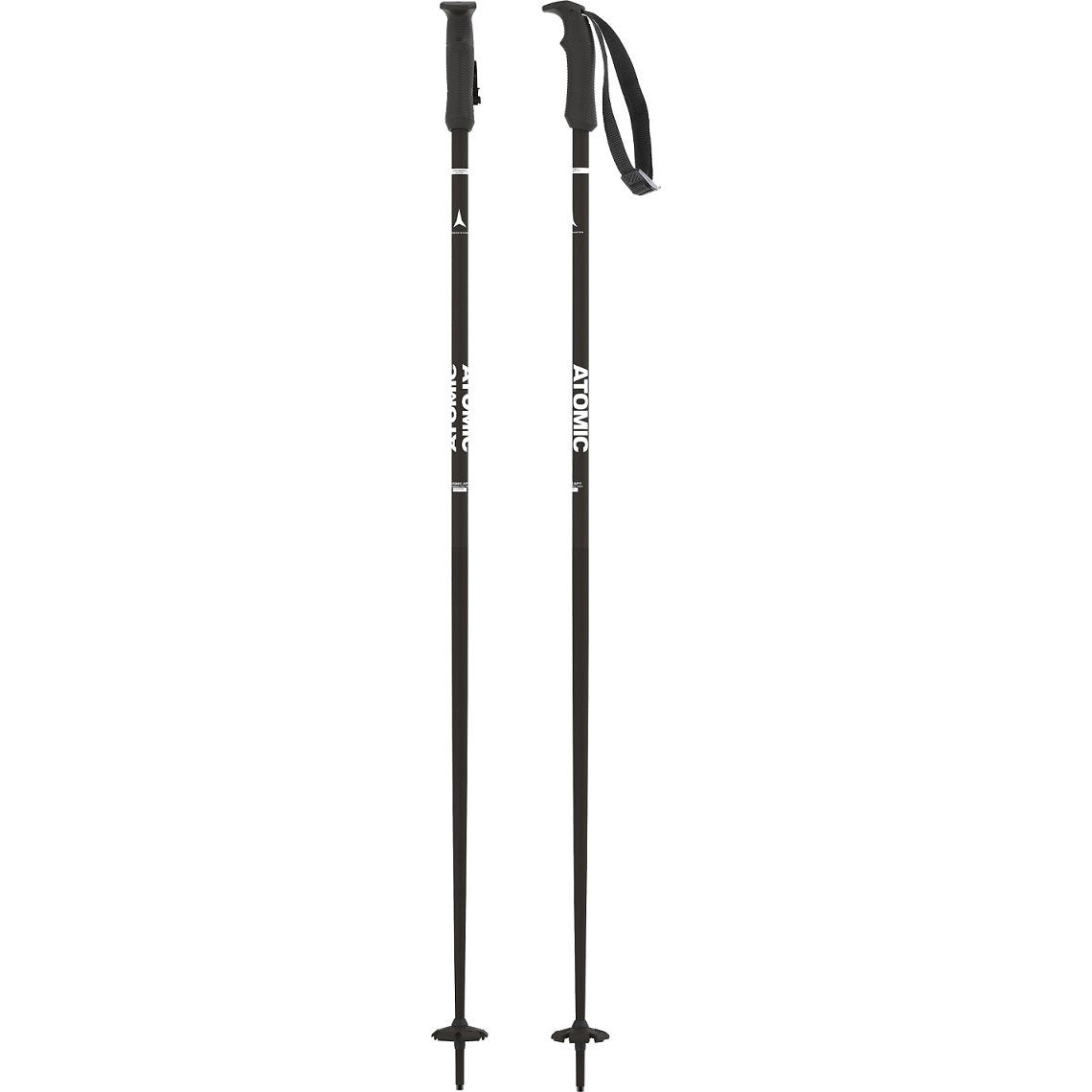 AMT Ski Pole