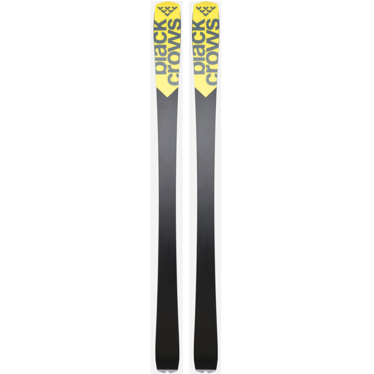 Octo Skis 2025
