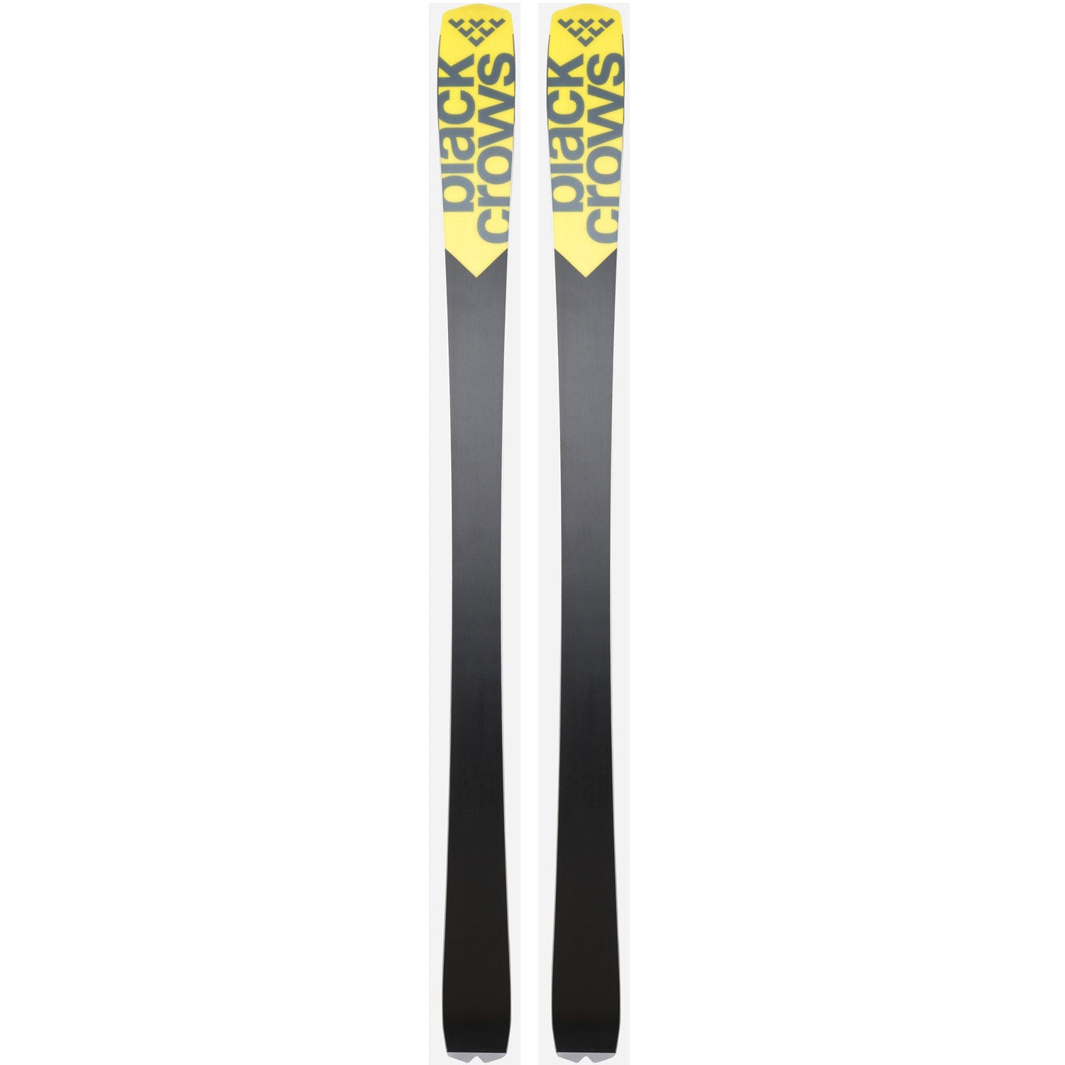 Octo Skis 2025