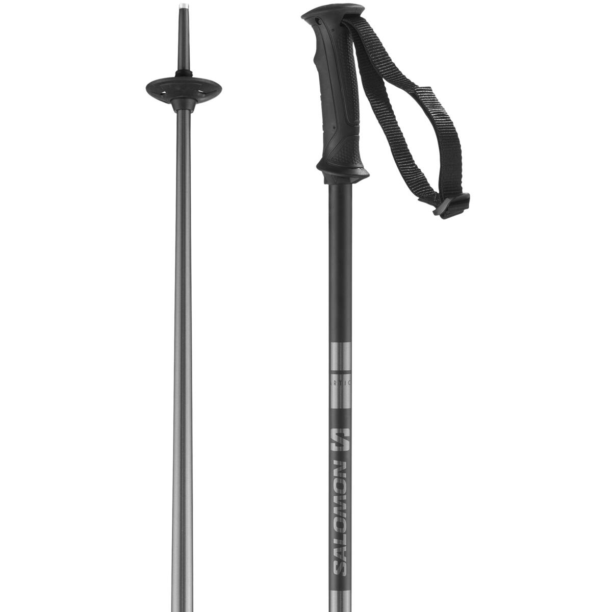 Arctic Ski Pole