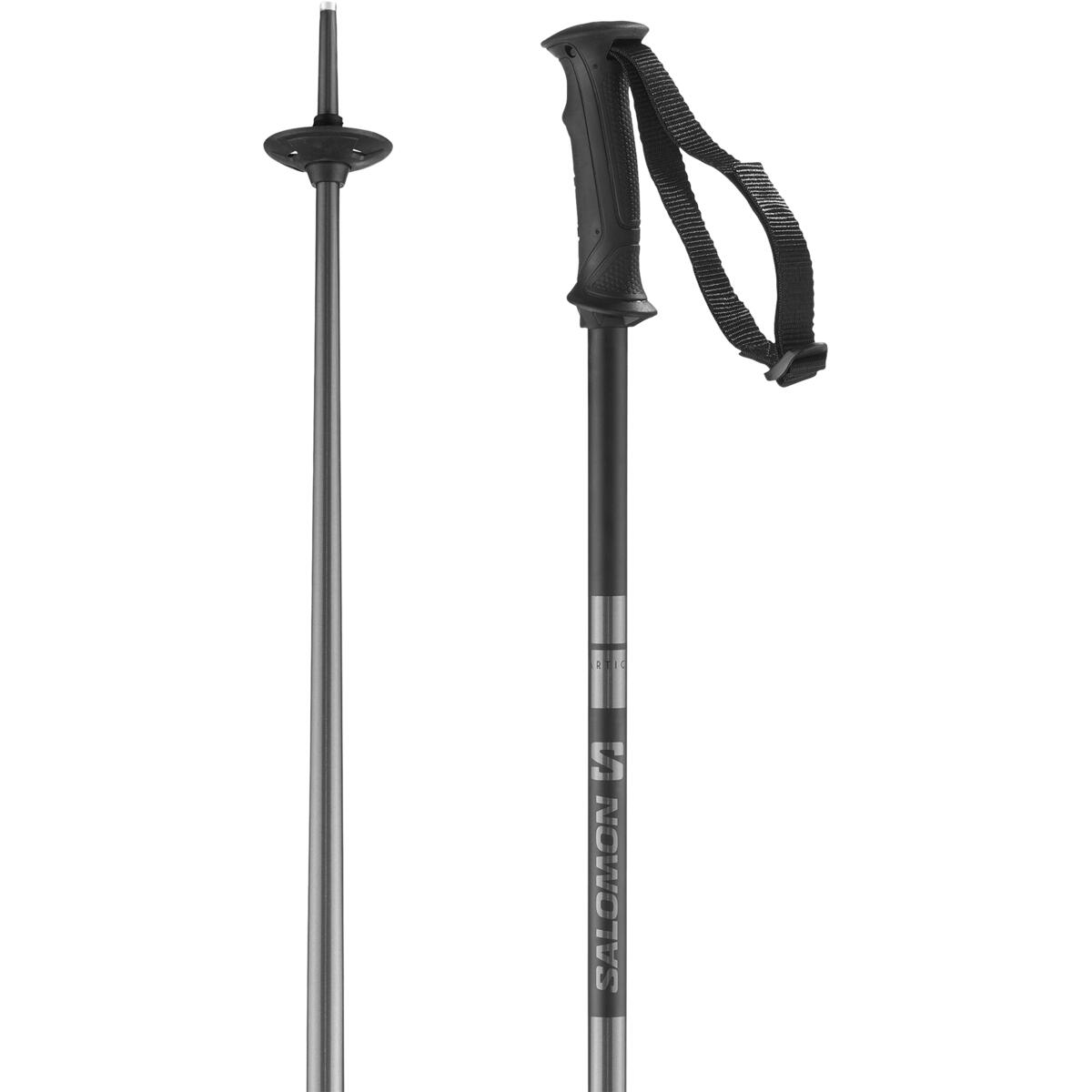 Arctic Ski Pole