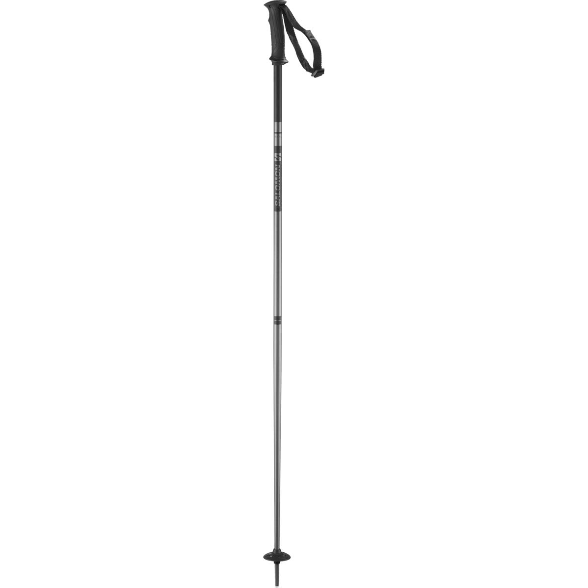 Arctic Ski Pole