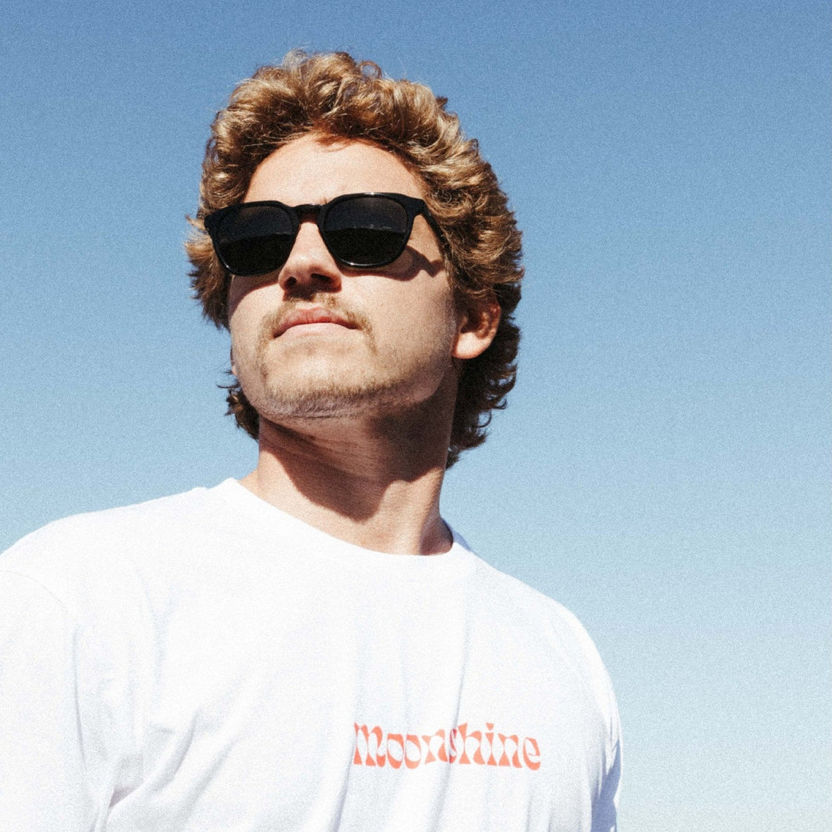 Divide - Eco Aurora / Brown Polar