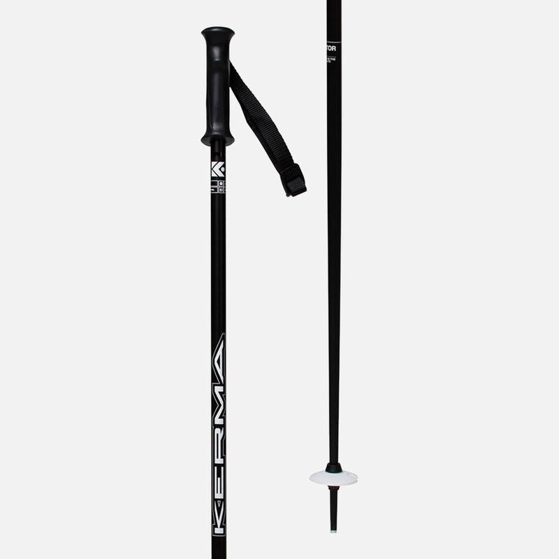 Vector Ski Pole