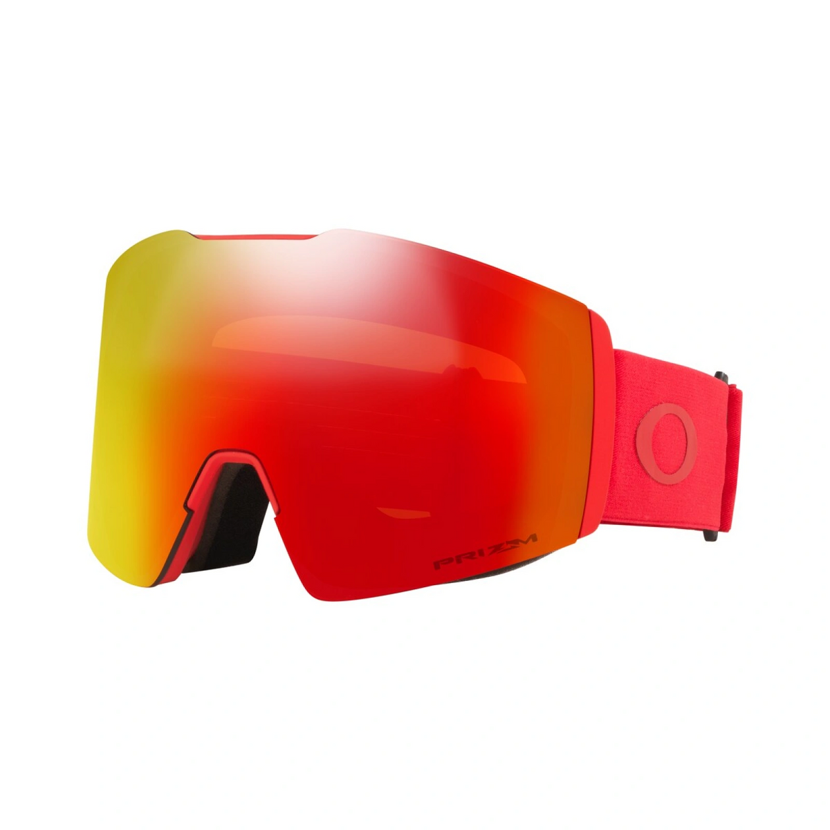 Fall Line L Snow Goggle