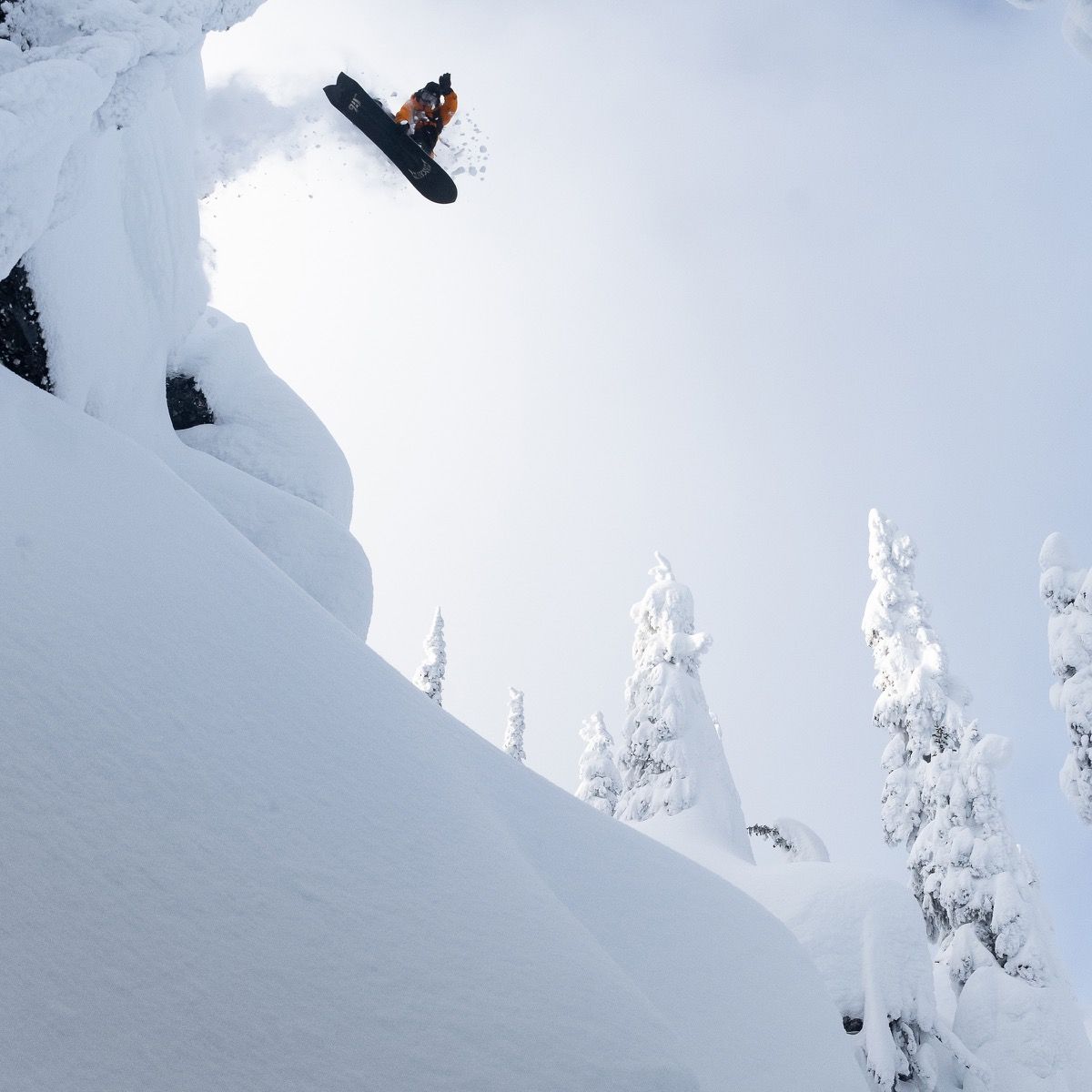 Mayhem Sweetfish Snowboard