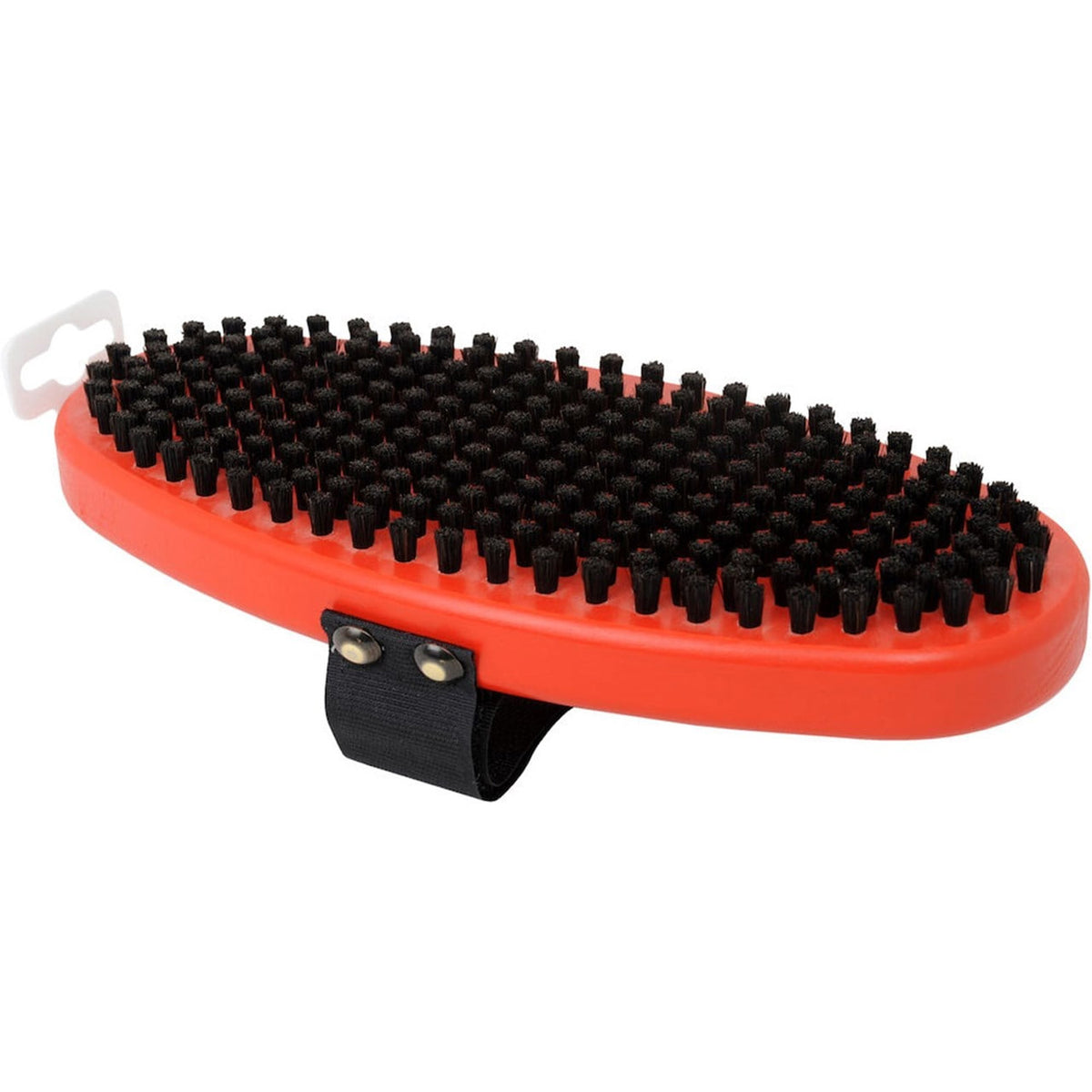 Oval Horse Hair Brush T157O
