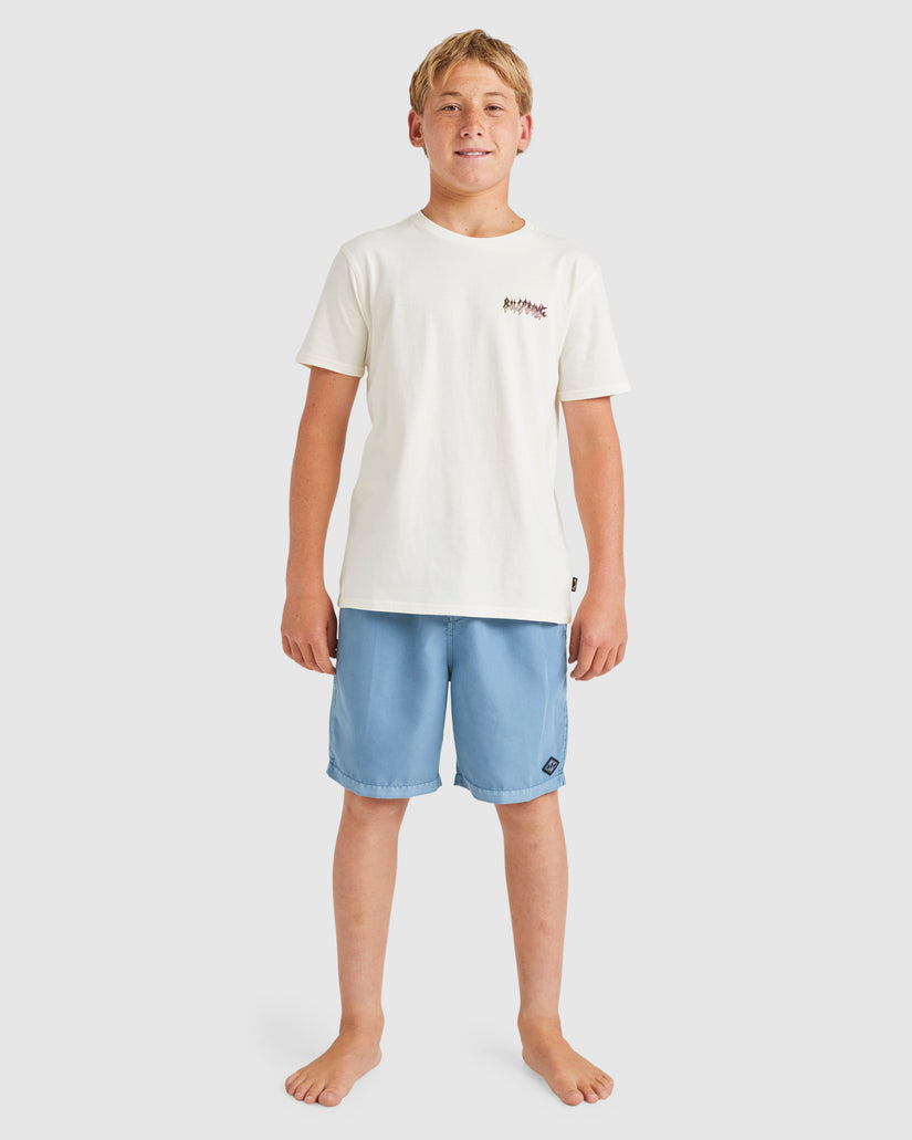 Boys 8-16 All Day Overdye Layback Boardshorts