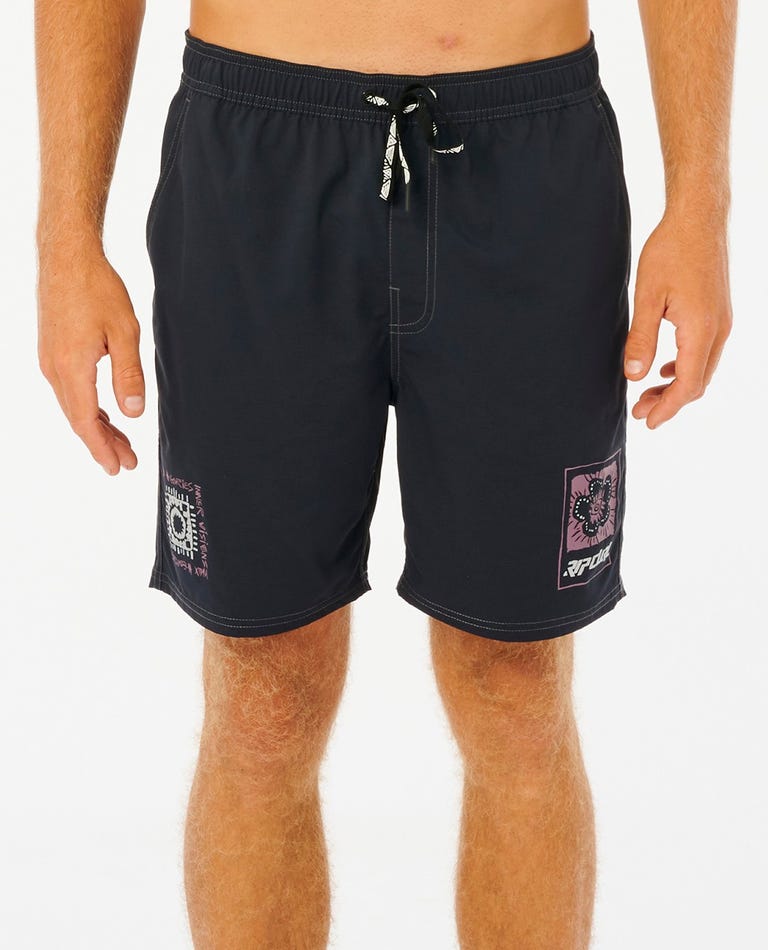 Archive Tribe Volley