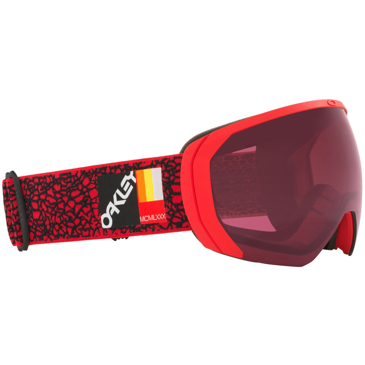 Flight Path L Snow Goggle 2022