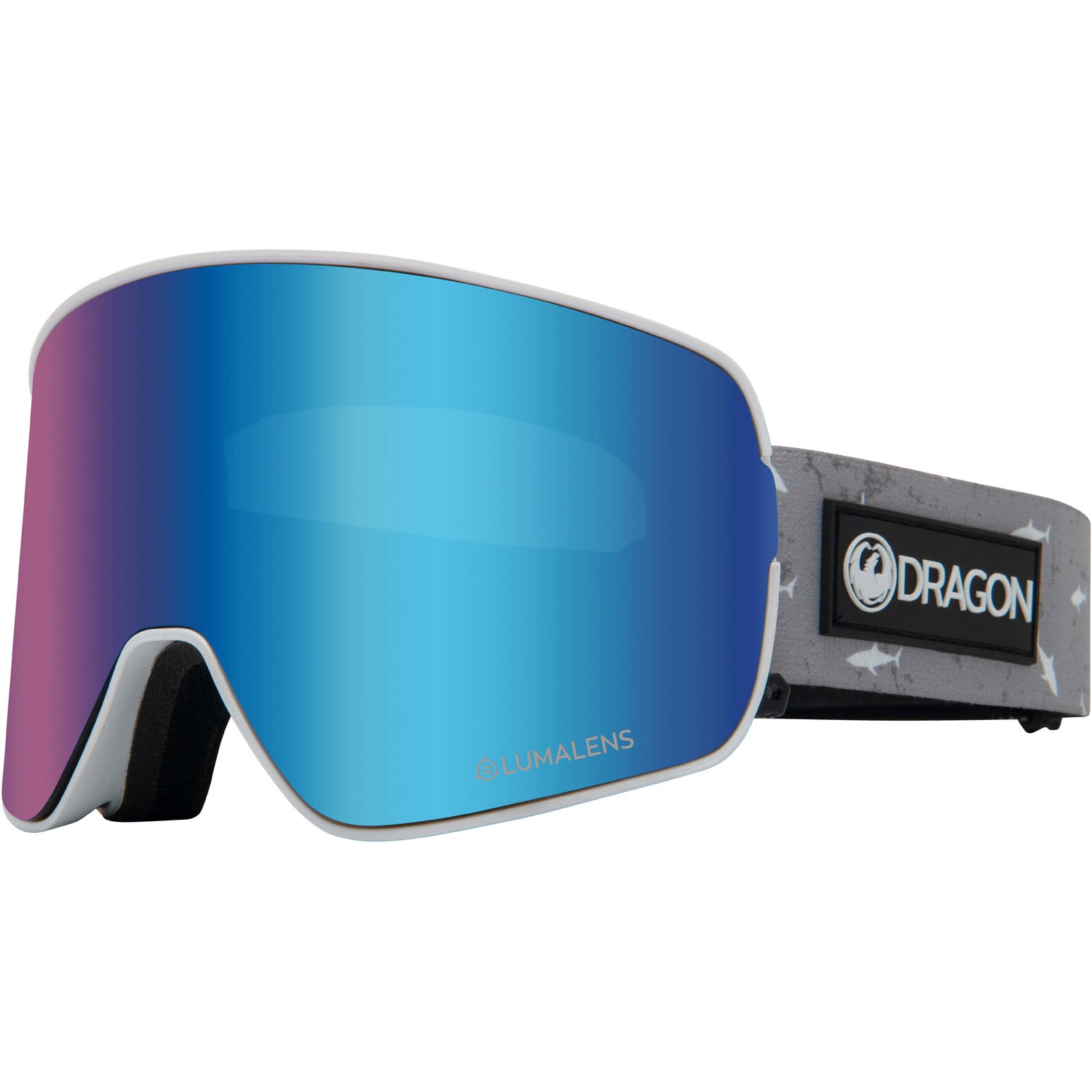 NFX2 Snow Goggle 2020