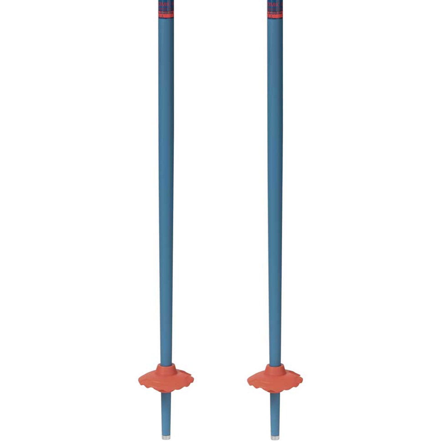 AMT Kids Ski Poles